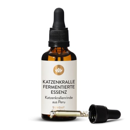 Katzenkralle fermentiert