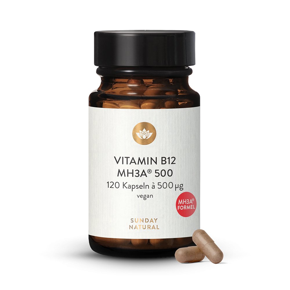 Vitamin B12 MH3A Formel 500g Bioaktiv