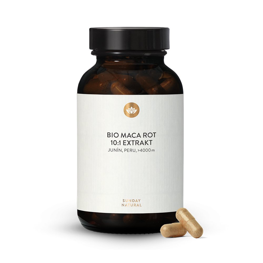 Bio Maca Rot Extrakt Kapseln 10:1