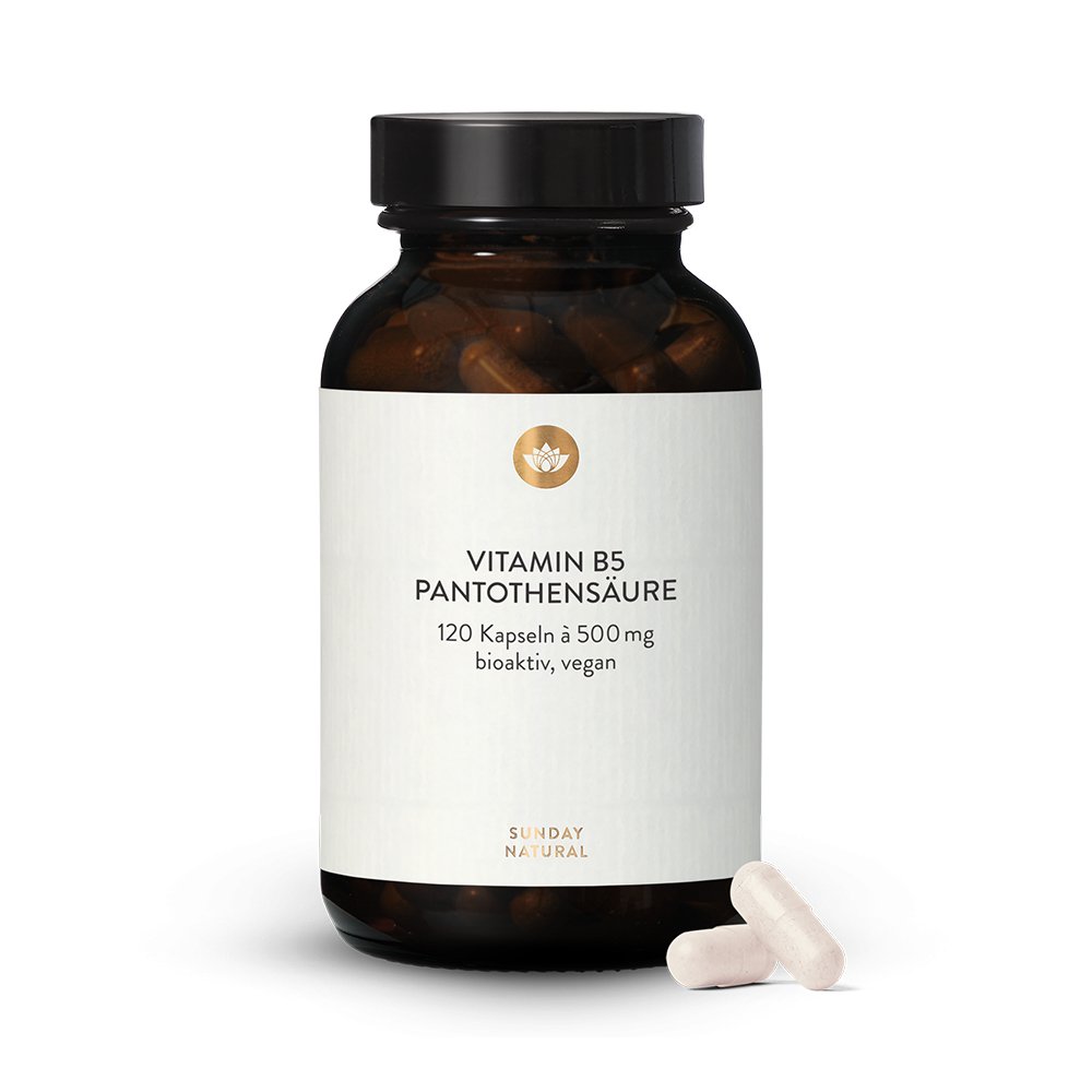 Vitamin B5 Pantothensure 500 mg Kapseln