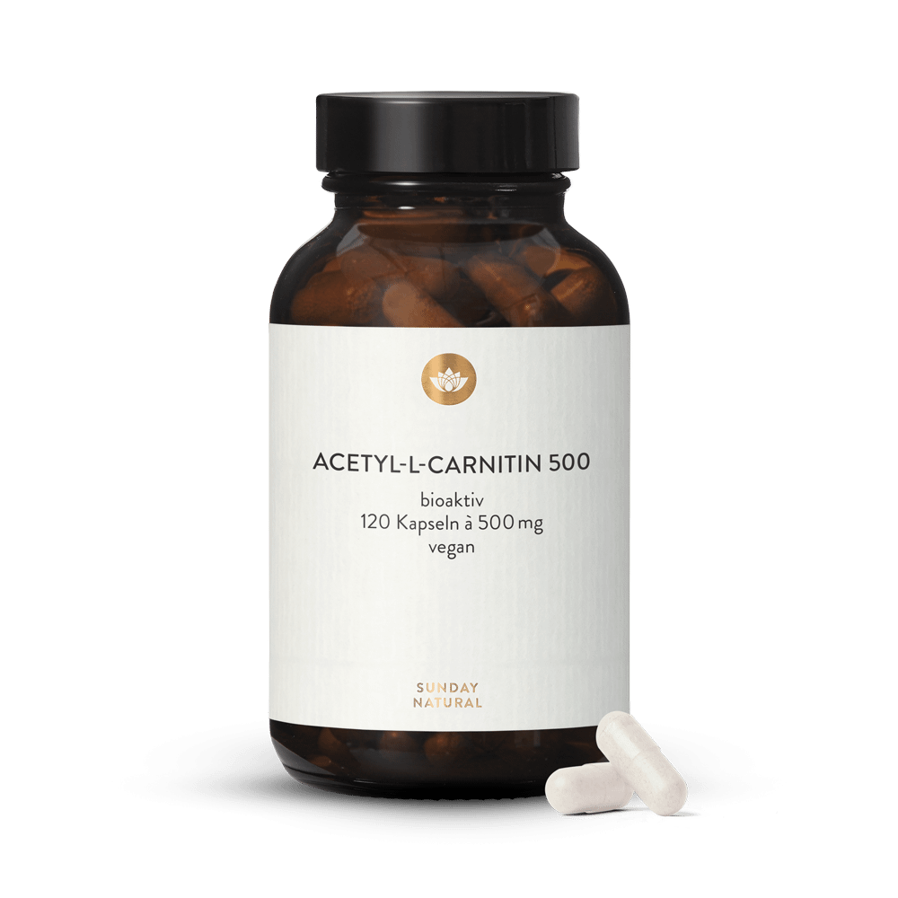 Acetyl-L-Carnitin 500mg vegan 120 Kapseln kaufen