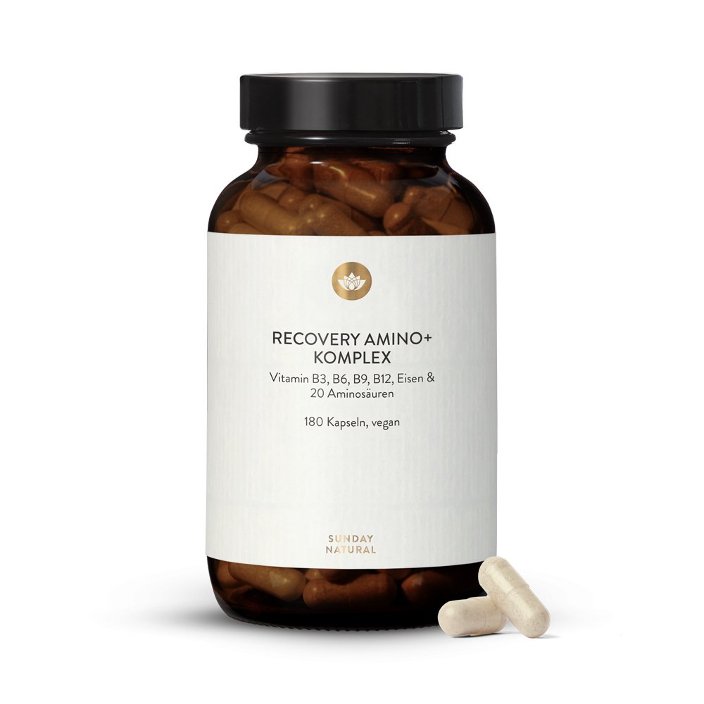Recovery Amino+ Komplex
