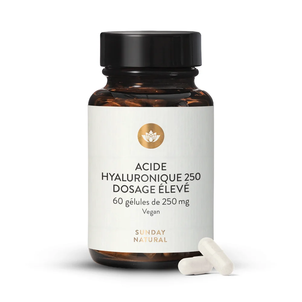 Acide hyaluronique 250 mg - glules