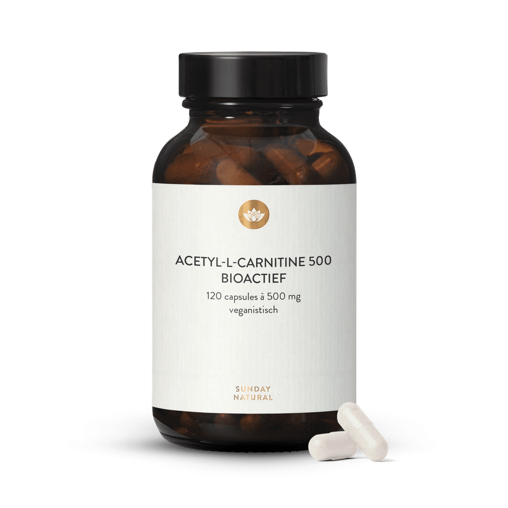 vegan acetyl l carnitine Life Light L-Carnitine, 60 capsules Acetyl L-Carnitine 500 mg -