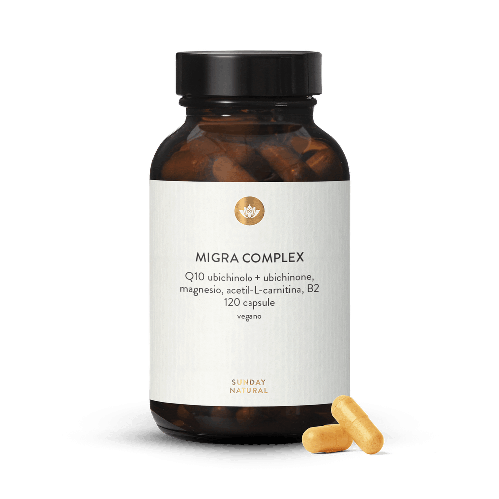 l carnitina + coenzima q10 magnesio dimalato Complesso premium con 3 forme di e vitamine MX3 Capsule Plus - Sabores:Ponche de Frutas intense hydrating