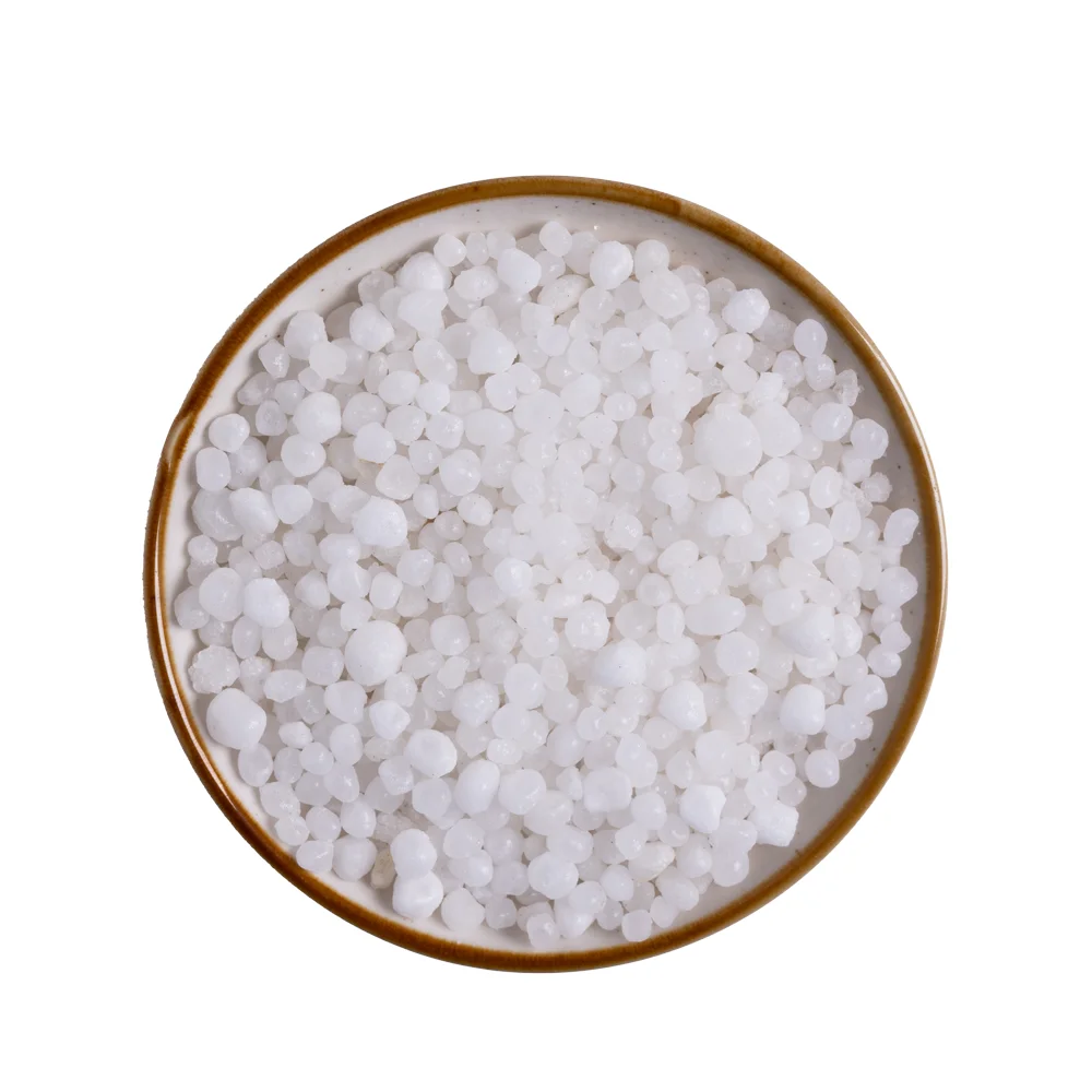 African Salt Pearls