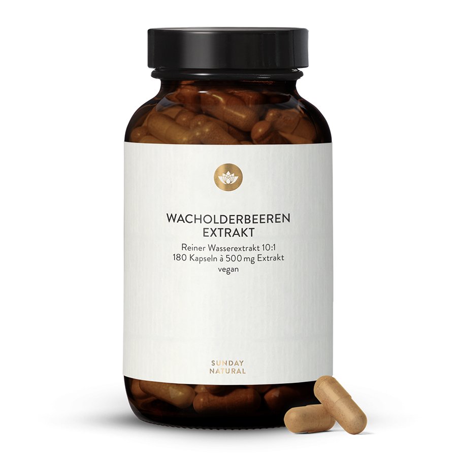 Darauf haben wir geachtet