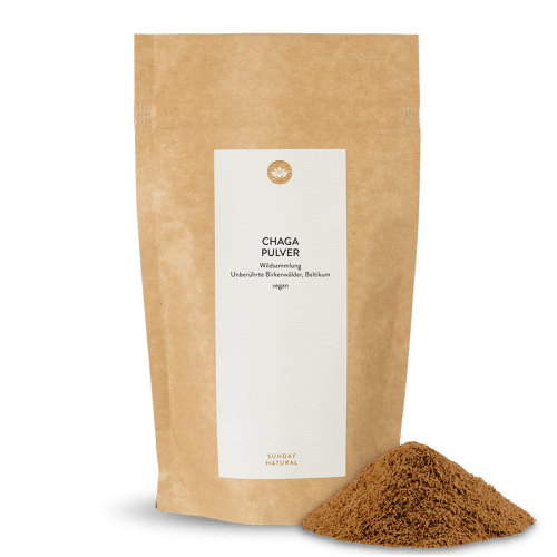 Chaga Pilz Pulver Wildsammlung