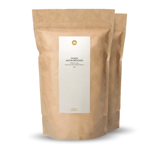 Chaga Pilz Brocken Wildsammlung