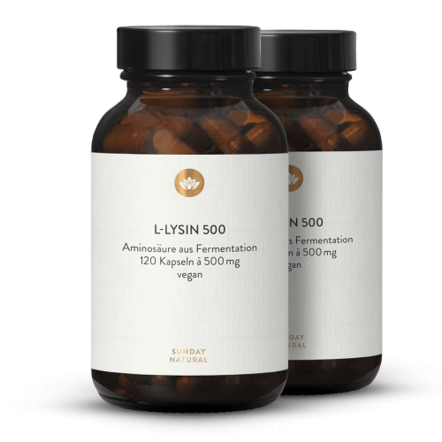 L-Lysin 500 Kapseln Aus Fermentation, Vegan