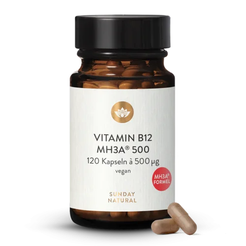 Vitamine B12 bioactive formule MH3A® 500 µg