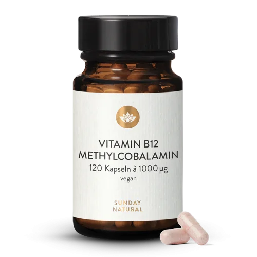 Vitamine B12 1000 g -  Mthylcobalamine
