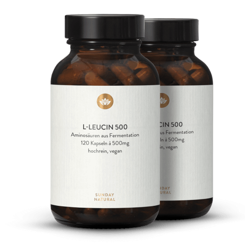 Vegan L-Leucine 500mg Capsules Produced by Fermentation