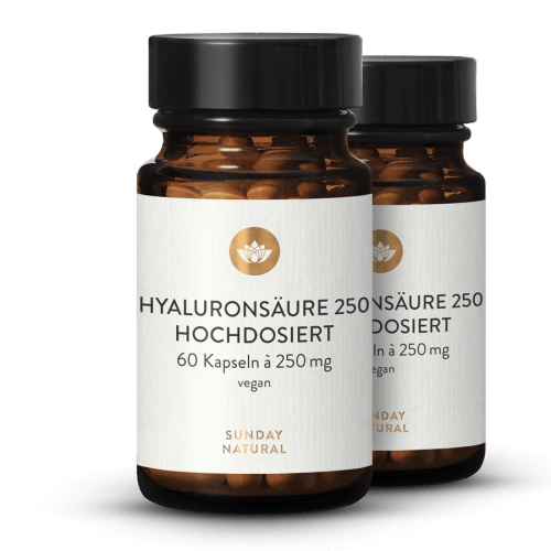 Hyaluronsure 250mg Premium Vegan, Aus Fermentation