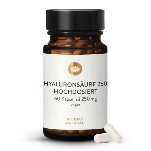 Acide hyaluronique 250 mg vegan