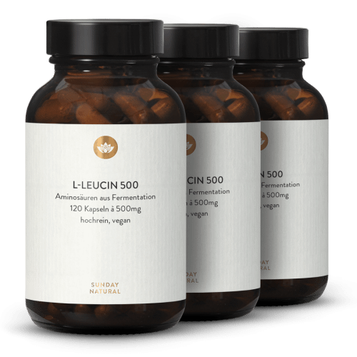 Leucin + Isoleucin + Valin Set Aus Fermentation, Vegan