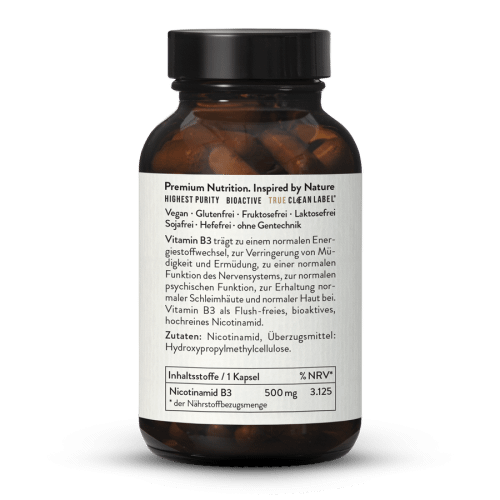 Vitamin B3 Nicotinamid 500 mg
