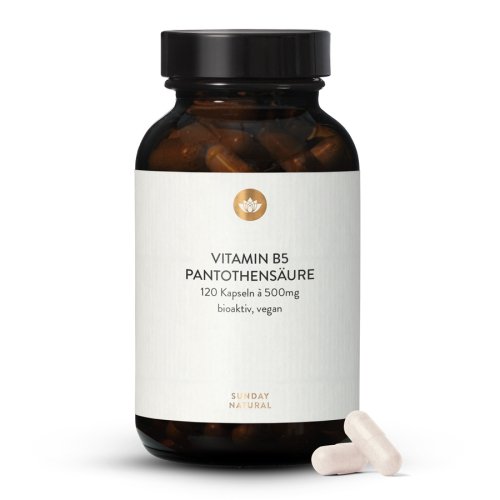 Vitamin B5 Panthotensure Kapseln Hochdosiert
