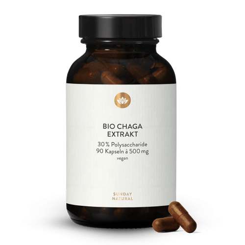 Bio Chaga Extrakt 30% Polysaccharide