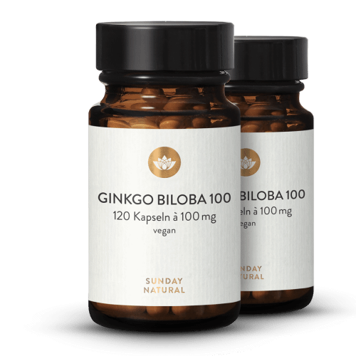Ginkgo Biloba 100mg 45:1 Extract