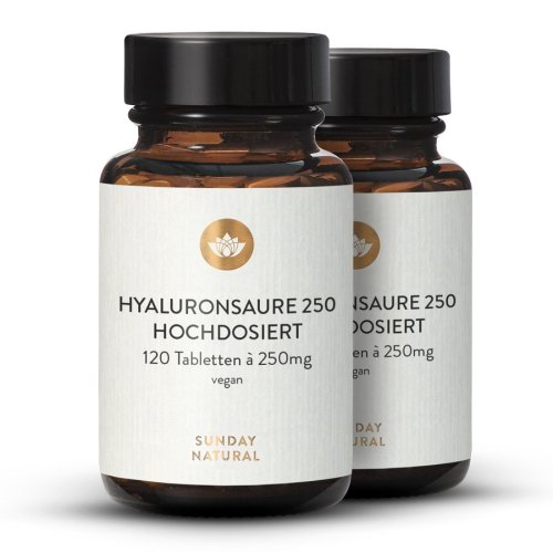 Acide hyaluronique 250 mg dosage lev