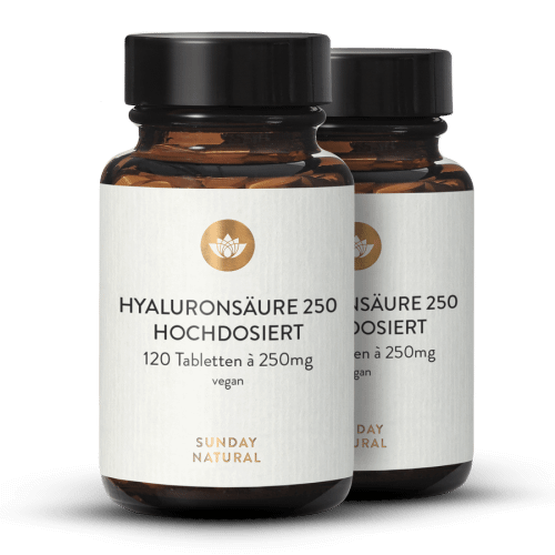 Hyaluronsure 250mg Hochdosiert