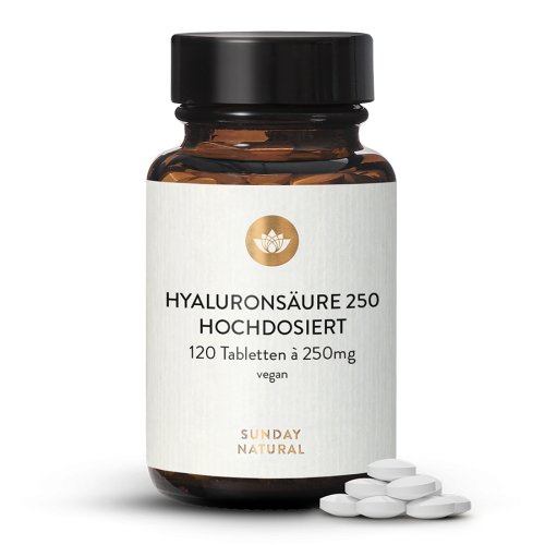Hyaluronsure 250mg Hochdosiert