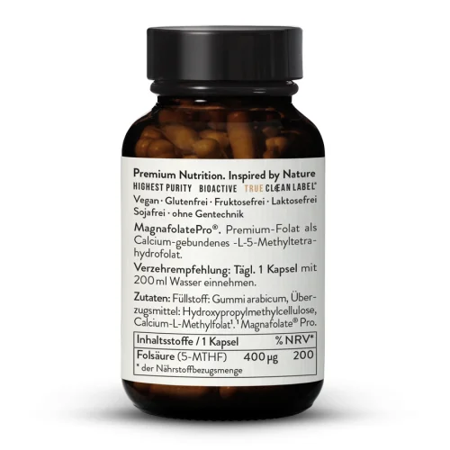 Acide folique (Folate) Magnafolate Pro 400 g