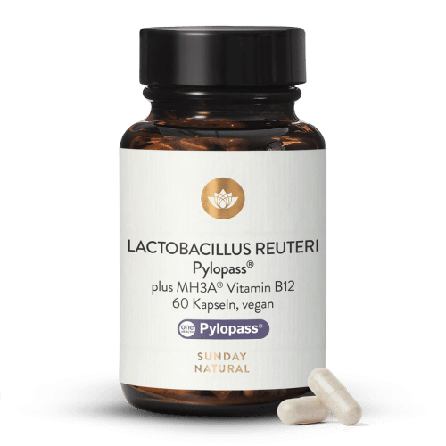 Lactobacillus Reuteri Pylopass