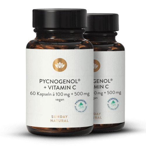 Pycnogenol 100+C Kiefernrindenextrakt