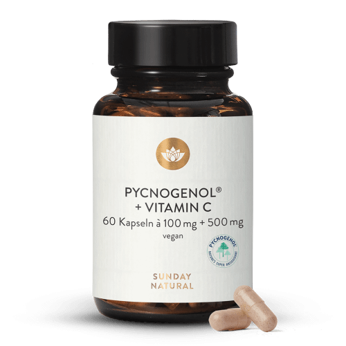 Pycnogenol 100+C Kiefernrindenextrakt