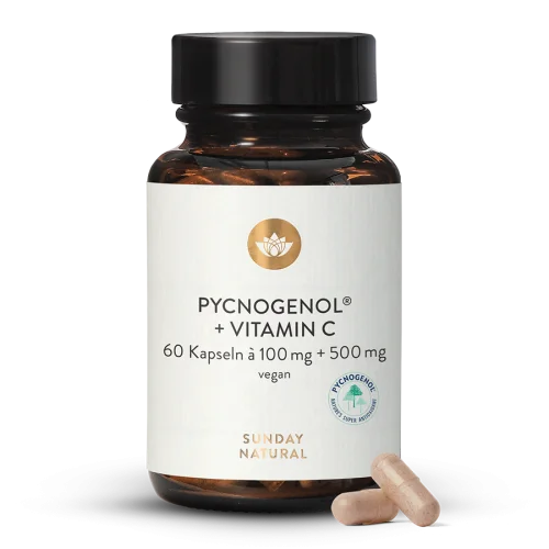 Pycnogenol 100+C Kiefernrindenextrakt