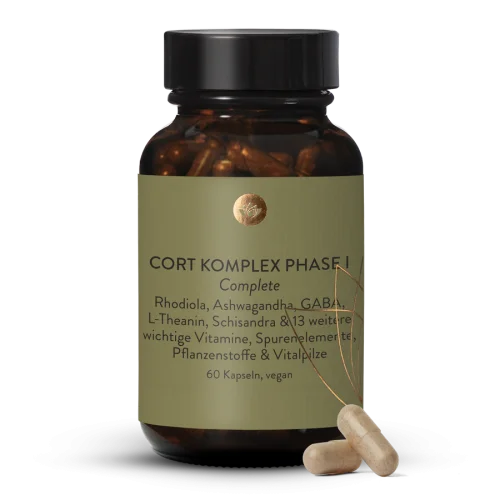 Cort Komplex Phase 1
