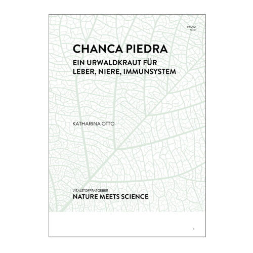 Chanca Piedra