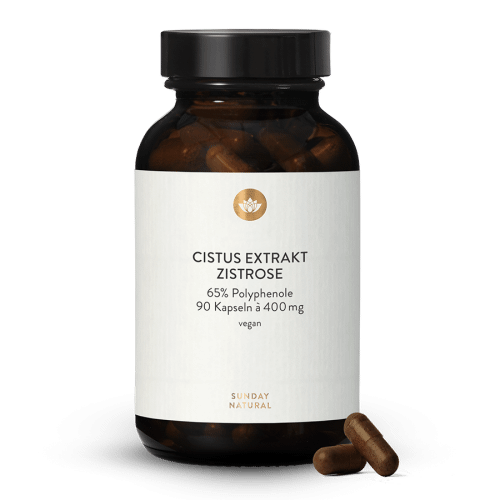 Cistus Extrakt 400mg Kapseln