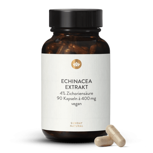 Echinacea Extrakt 400mg Kapseln