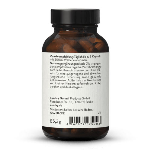 Arabinogalactan Lrchenextrakt Kapseln 500mg