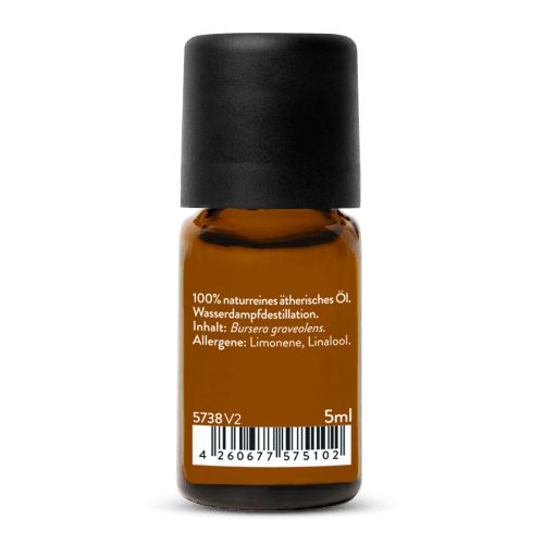 Palo Santo Oil Wild
