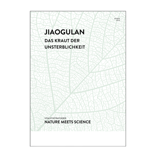 Jiaogulan