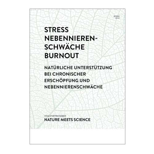 Stress & Burnout