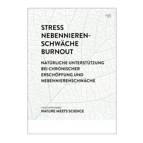 Stress & Burnout