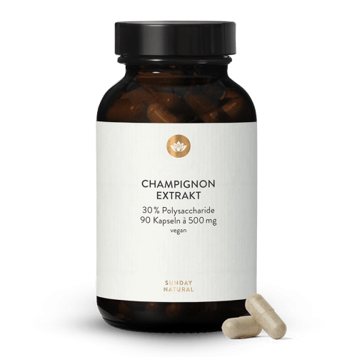 Champignon Extrakt Kapseln
