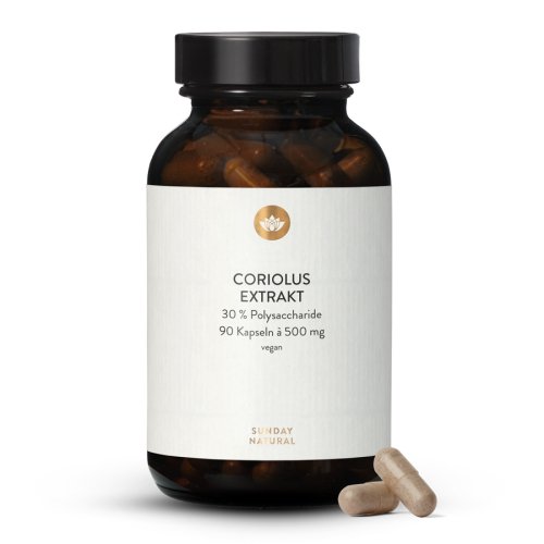Turkey Tail Extract Capsules