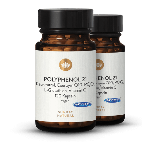 Complexe de polyphnols 21