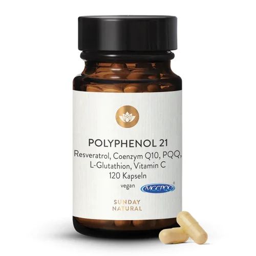Polyphenol 21 Complex