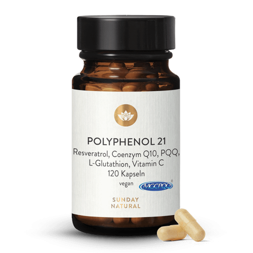 Polyphenol 21 Komplex