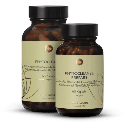 Phytocleanse Set