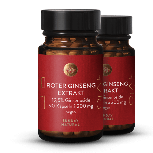 Extrait de ginseng rouge 19,5 %