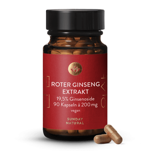 Roter Ginseng Extrakt 19,5%