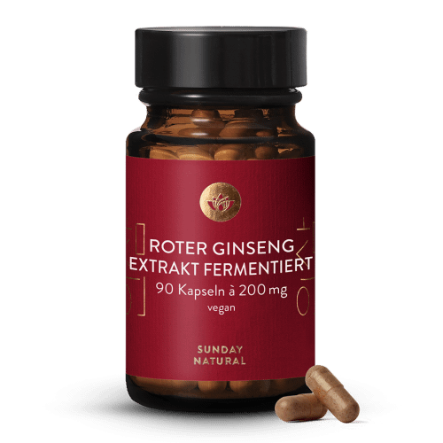 Roter Ginseng Extrakt fermentiert